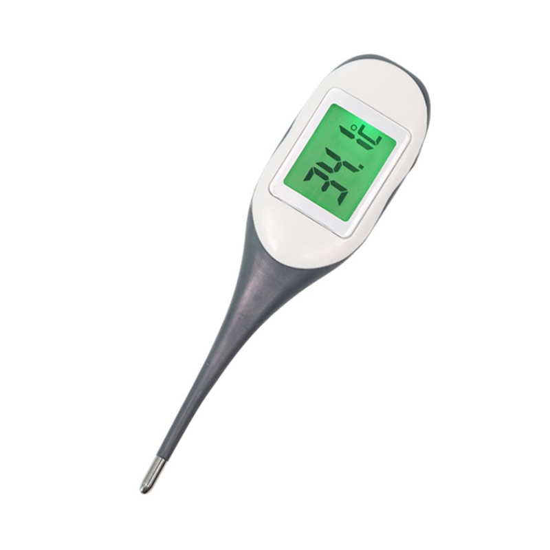 Digital Thermometer